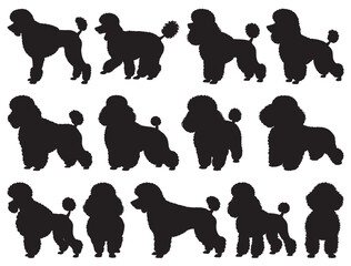 TOY POODLE SILHOUETTE