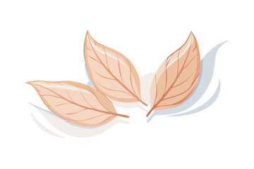 Group of beige leaves in flat botanical composition