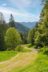 Obraz premium Around Black Forest Belchen