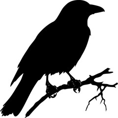 Obraz premium Crow black silhouette bird vector illustration