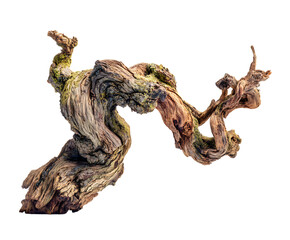 Intricate details of weathered wood.