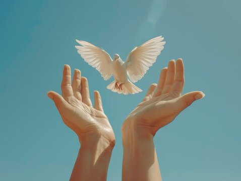 A pair of hands gently releases a white dove, which spreads its wings to fly into a clear blue sky. This beautiful, serene image symbolizes peace, freedom, hope, and new beginnings