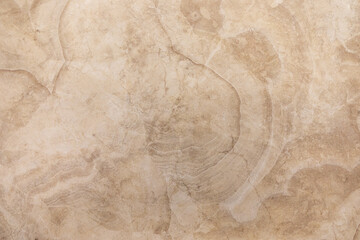 Sandy beige marble surface with subtle patterns and textures highlighted by natural light