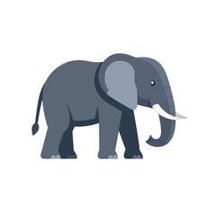 Fototapeta premium Grey cartoon elephant with large ears and white tusks, standing in side profile. A simple, flat vector illustration of a majestic mammal.