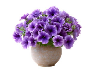 Purple petunias in a rustic pot a beautiful floral arrangement against a black background