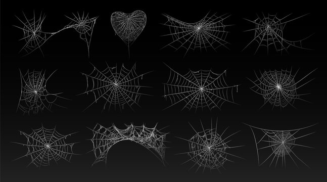 Halloween old spooky cobweb with various sizes and shapes. Old spider web set vector illustration dark gothic decoration for holidays. Corner spider net insect thread cobweb scary frames.