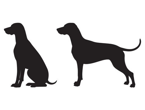 WEIMARANER DOG SILHOUETTE.