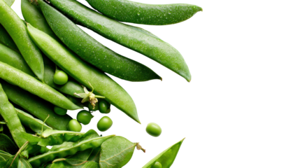 Fresh green peas and pods, healthy vegetable, isolated on white background.