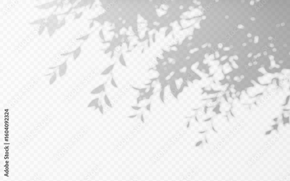 Wall mural abstract shadow overlay from foliage tree branch on a transparent background.
