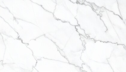 White marble with light gray veining in an intricate, organic layout on a polished surface