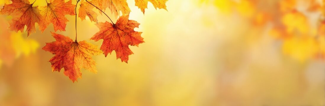 Vibrant orange maple leaves against a soft yellow bokeh background, creating an autumnal, serene, and visually appealing scene for fall themes, nature designs, and seasonal projects.