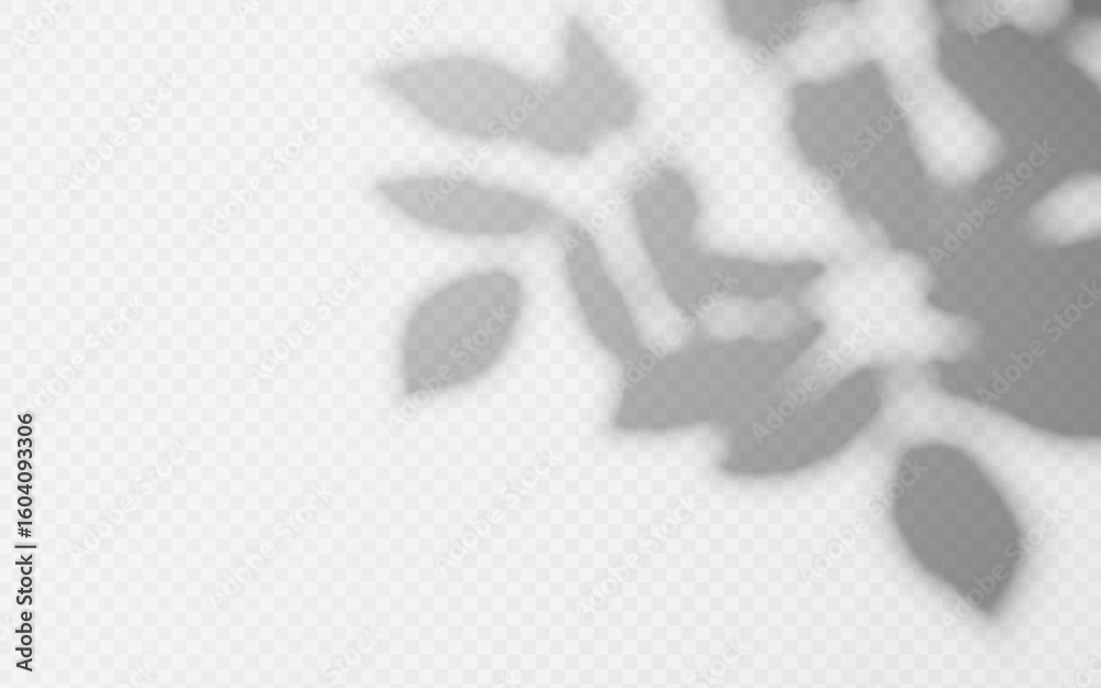 Wall mural abstract shadow overlay from foliage tree branch on a transparent background.