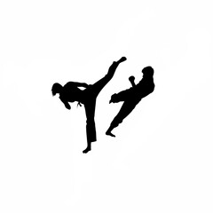 Silhouette of person doing karate high kick on white background