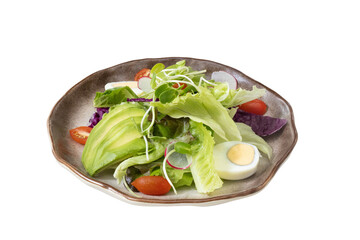 Freshly Plated Salad: A close-up shot captures a vibrant, appetizing salad artfully arranged in a rustic bowl, showcasing fresh, healthy ingredients and culinary presentation.