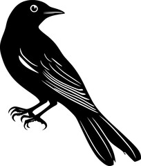 Magpie bird black silhouette vector design