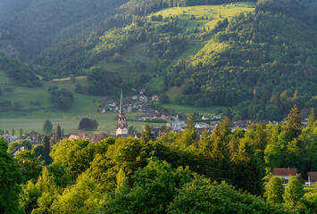 Around Schönau in the Black Forest