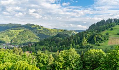 Around Schönau in the Black Forest