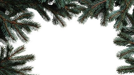 Pine branches arranged with a green aesthetic on a white background, perfect for seasonal decorations.