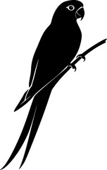 Parrot bird black silhouette vector image