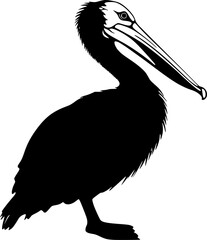 Pelican bird black silhouette vector drawing