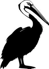 Pelican bird black silhouette vector drawing