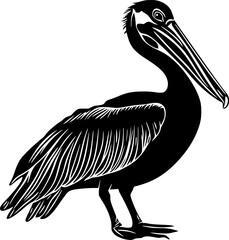 Pelican bird black silhouette vector drawing