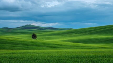 panoramic landscape of green fields for background