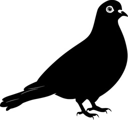 Pigeon bird black silhouette vector graphic
