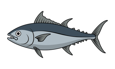 A detailed illustration of a tuna fish, perfect for showcasing marine life, fishing, and seafood.