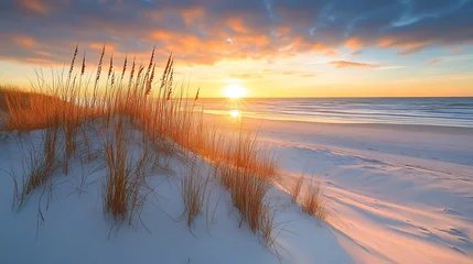 Fototapete Dünen Sunrise over sand dunes with sea oats on a tranquil beach landscape  © BADAL