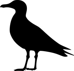 Seagull bird black silhouette vector artwork