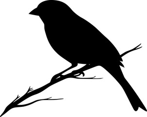 Sparrow bird black silhouette vector illustration