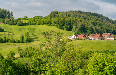 Around Schönenberg in the Black Forest