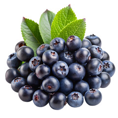 blueberries isolated on white background