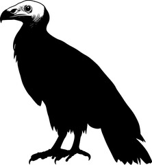 Vulture bird black silhouette vector image