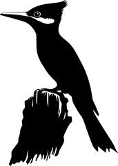 Woodpecker bird black silhouette vector art
