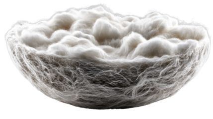 Abstract Cloud Bowl: A stunning cloud-like form gracefully shaped into a bowl, captured in meticulous detail, invites contemplation and aesthetic delight.