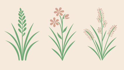 Meadow Grass Wildflower Icon Set Soft Minimalist Design