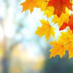 Fototapeta premium Stunning Autumn Abstract Panoramic Background Featuring Vibrant Yellow Falling Leaves and Foliage