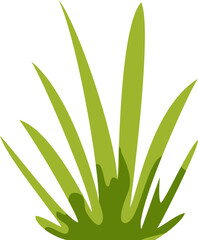 Grass vector illustration