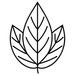 Botanical Leaf Outline Pack