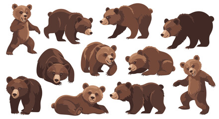 Fototapeta premium Brown bears in various poses and actions on white background 