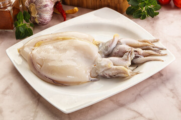 Raw fresh cuttlefish for cooking