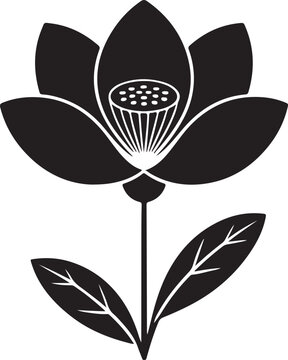 black and white flower
