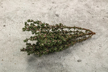 Fresh green Thyme branch isolated