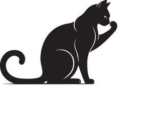 black cat on a white background