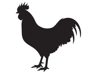 ROOSTER SILHOUETTE