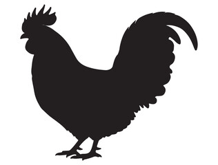 ROOSTER SILHOUETTE