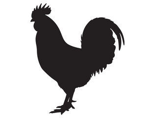 ROOSTER SILHOUETTE