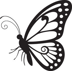 butterfly vector illustration